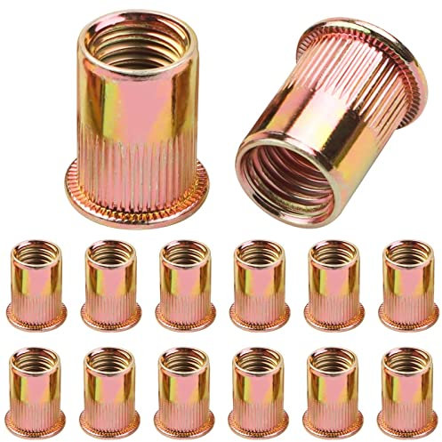 Leryati 100 Pièces Écrous M6 à Sertir, Insert Fileté à Tête Plate en Acier Carbone Zinc, Rivet Aveugle Pour Diverses Applications