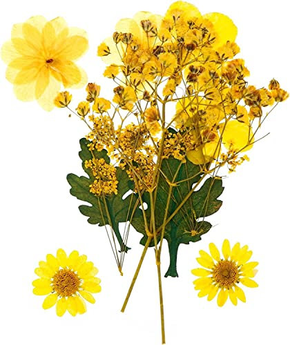 Veri fiori secchi pressati, fiori secchi, fiori for l'artigianato, gioielli fai da te, decorazioni artigianali for la casa, 24 pezzi di decorazioni in stile rosa misto, foglie, candele floreali secche