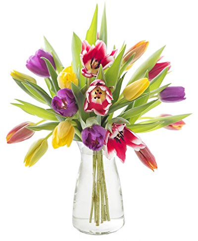 KaBloom PRIME NEXT DAY DELIVERY - Fall Collection - Bouquet of 20 Assorted Tulips with Vase Gift for Birthday, Sympathy, Anniversary, Get Well, Thank You, Valentine, Mother’s Day Flowers