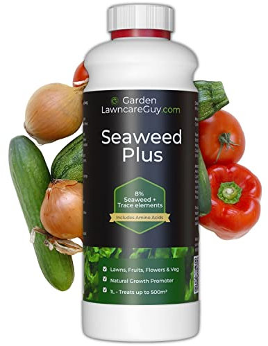 Seaweed Liquid Fertiliser - Lawn Feed & Plant Food - Bio Stimulant for Grass, Fruits, Vegetables & Flowers - 1L 500m² - Garden Lawncare Guy