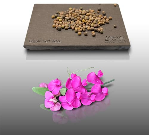 20 grammes de graines à semer - Le Grenier d'Abondance - ENGRAIS Vert - Vesce