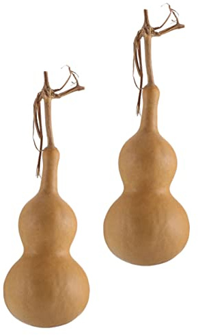 EPIGEIST 2piezas Juguetes De Adornos De Calabaza Calabaza Decorativa Natural De Escritorio Elegante Hogar Manualidad Decorativa Creativa De Material De para Manualidades Auspiciosas