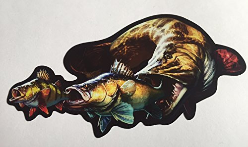 Schönheits Shop Aufkleber 14x7cm Hecht Barsch Zander Fishing Auto Köderbox Pike Bass Angelkoffer