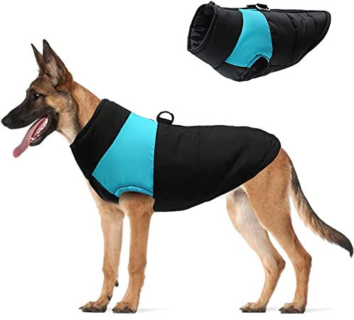 Hundemantel Kleine Haustier Hund Mantel Jacke Warme Hundekleidung Winter Hund Warme Baumwollweste Leichte Kleidung Rückenreißverschluss Haustier Outdoor Kostüm Hundemantel Türkis (Blau, XXXXL)