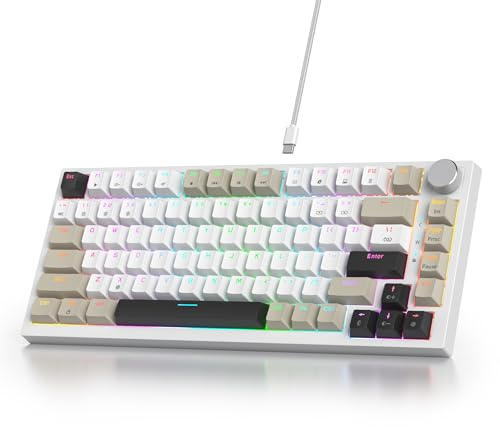 SOLIDEE Kabelanslutet mekaniskt speltangentbord 75%, högswap-aktiverat mekaniskt tangentbord med gasket-struktur, RGB-bakgrundsbelysning, 82 knappar, TKL-tangentbord med vridknapp (82 svart grå vit)