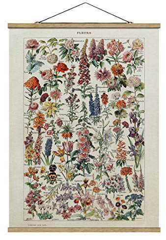 Bilderwelten Stoffbild mit Leisten Vintage Lehrtafel Blumen V Hochformat 4:3 46.5x35cm Eiche