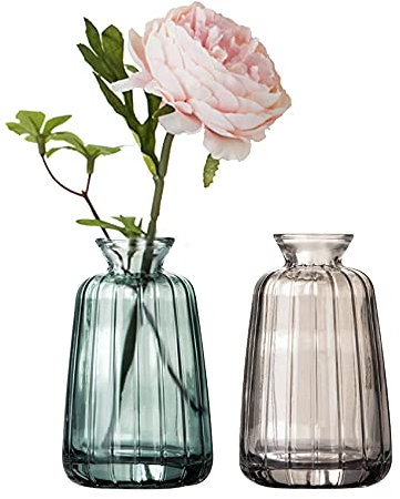 Kleine Glas Vasen Set für Tischdeko Mini Deko Blumenvasen Set Tischvase Set of 2