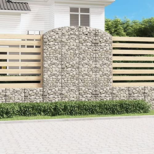 Chaduof Gabion avec arche surélevée, panier à gabion, plate-bande surélevée, panier à pierre, grille de gabion, panier métallique pour plantes, spirale d'herbes pour jardin, 200 x 50 x 220/240 cm, fer