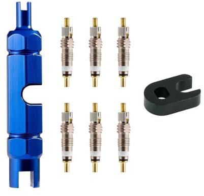 Tadipri 6-Teiliges Presta-Ventilkernset Ventiladapter Für Fahrradventileinsatz Fahrradzubehör Für Fahrräder Und Mountainbikes Adapter Mit Ventileinsatzentfernungswerkzeug Zur Fahrradreparatur (Schwarz