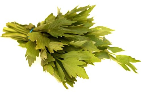 semi di levistico biologico - esotiche resistenti pascolo tappezzante giardino 200pcs