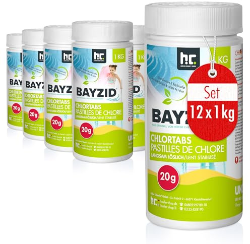 Höfer Chemie 12 x 1 kg 20g Pastilles de Chlore Lent pour Piscine - chloration permanente de la Piscine - HAUTEMENT Efficace Contre Les bactéries