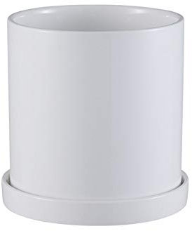 Vaso da fiori in ceramica Vaso in ceramica bonsai perforato cilindrico luminoso con vassoio Ornamenti da giardino per la casa Vasi da fiori Vasi da fiori in ceramica Contenitori decorativi per piante