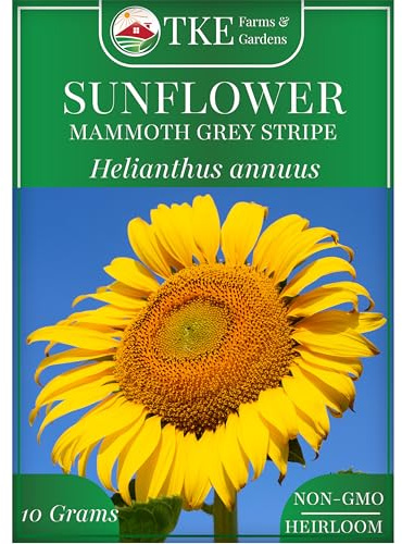 TKE Farms & Gardens - Mammoth Sunflower Seeds for Planting, 100+ Non-GMO Heirloom Seeds, Grow Towering Sunflowers with Giant Yellow Blooms, Includes Easy Instructions for a Stunning Outdoor Garden