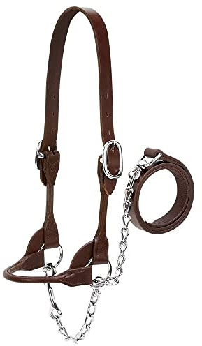 Weaver Leather Livestock Dairy/Beef Rounded Show Halter, Medium, Brown