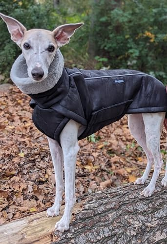EDEL&SCHNELL Wintermantel große Hunde 60 bis 65 cm luxuriöser Hundemantel in grau mit Bauchschutz Windhund Hundejacke wärmend mit Wildleder und weichem Kunstfell