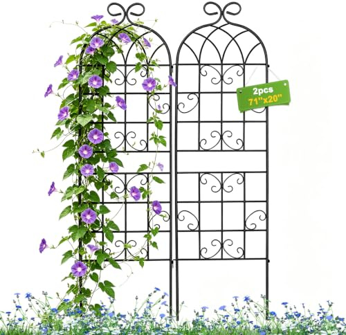 Lorenzo 2 Pcs 70 x 20 Inch Rustic Iron Garden Trellis for Climbing Plants Outdoor, Black Metal Arch Decoration Plant Supporting Perfect for Roses Flower Cucumbers Courtyards Lawns Clematis