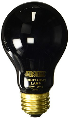 Exo Terra Night Heat Lamp 75w