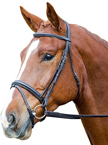 Shires Aviemore Comfort Fit Bridle - Black: Pony