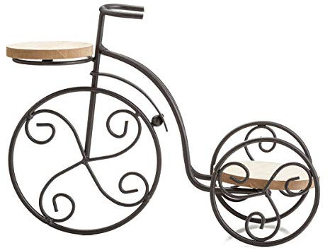 TJ Global 2-Plant Iron Bicycle Plant Stand, Metal Wire Flower Pot Wrought Iron Planter for Plants, Flowers, Garden, Patio, Office, Balcony Outdoor and Indoor Decor