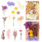MXTIMWAN 2 Borse Fiori Secchi Naturali, Fiori Secchi Decorativi, Veri, Fiori Secchi Artigianato per Resina Epossidica, Scrapbooking, Crafts, Nail Art, DIY Gioielli