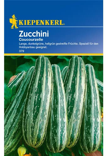 Sperli Gemüsesamen Zucchini Coucourzelle, grün