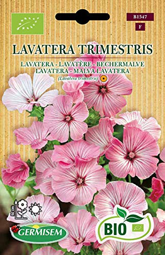Germisem Orgánica Lavatera Trimestris Semillas de Malva 1 g
