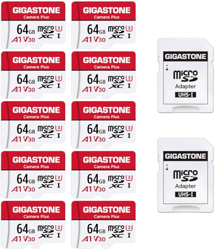 [GIGASTONE] 64 GB 10-pack Micro SD-kort, kamera Plus, MicroSDXC-minneskort för Wyze, videokamera, säkerhetskamera, smartphone, Fire-surfplatta, 4K videoinspelning, UHS-I U3 A1 V30, 95 MB/s, med