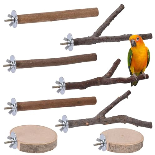 8 PCS Perchoir Perroquet en Bois Perchoir Oiseaux Arbre Pieds Perchoirs