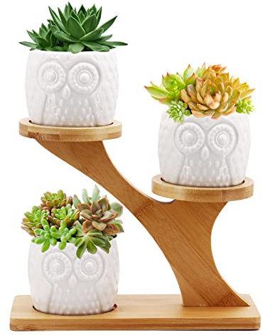 Gearific Vasi per piante grasse, vaso da fiori in ceramica con vassoio in bambù, piccoli vasi per cactus per casa, ufficio, scrivania, davanzale della finestra (gufo)