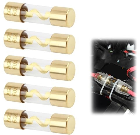 AGU Fusibile 60 A, 5 pezzi 60 Amp AGU Auto Audio Power Protezione, Fusibili di ricarica tubo di vetro 12 V-48 V per auto, marine, audio stereo, protezione fusibile di sicurezza