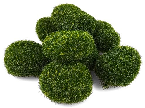 Netuno 8 Stück grüne Künstliche Mooskugeln Deko für Garten und Terrarien
