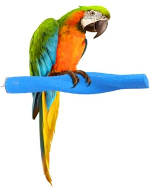 BESPORTBLE Soporte De Aves Moliendo Palos Lima para Loros Y Periquitos Accesorios para Jaulas De Pájaros Percha De Molienda De Uñas Ideal para Loros Pequeños Y Medianos Fácil De Instalar