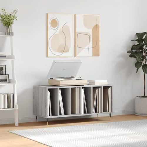 ShGaxin Skivskåp grå Sonoma plywood, 100 x 38 x 48 cm, CD-hylla, skivspelare, skivskåp, vinylskåp, skivskåp - 831746
