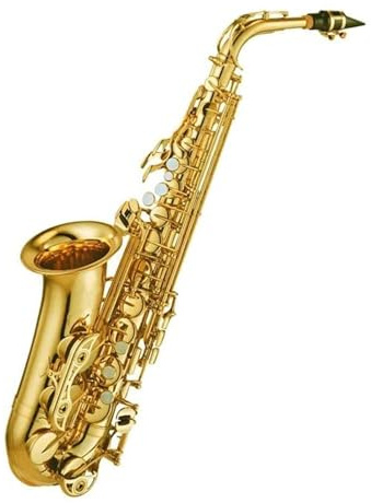 Professionell Saxofon Professionell E Fall Altsaxofon I Guldlack Inklusive Munstycke Rörblad Och Halsfodral
