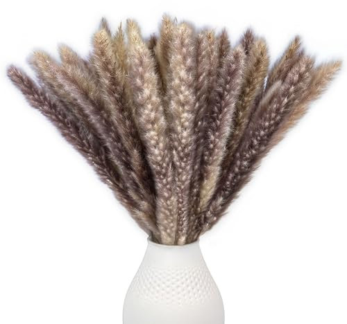 Hierba de Las Pampas Marrón - 15 Piezas de 45 cm, Flores secas Decorativas para salón y Pasillo, Ramo Boho de Hierbas, Flores Artificiales de Hierba de Las Pampas para jarrón