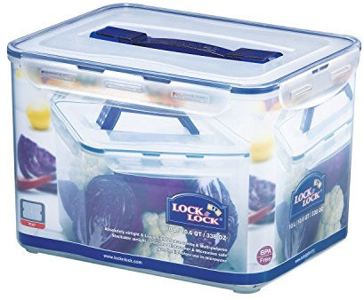 Lock & Lock Hpl886.Box Spezifische Mit Griff/Tablett Frische KunsTSToff Transparent 29,5.X 23.X 20,3.cm 10.L