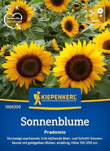 Kiepenkerl Sonnenblumensamen Pradomio 1066300 – Früh blühende, buschig verzweigte Beet- und Schnitt-Sonnenblume - Wildblumensamen, Blumenwiese, Saatgut