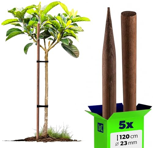 KADAX Trästavar 120 cm x 23 mm, set om 5, växtstavar av impregnerat trä, trästolpar som växtstöd för växter, träd, tomater och buskar, tomatstavar