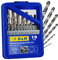 S&R Juego de 19 Brocas para Metal y Hierro Rectificadas HSS 1-10 mm 118° serie GM DIN 338 - Calidad Profesional