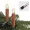 Hellum Lichterkette Weihnachtsbaum Wachstropfen Made in Germany, 13,3m beleuchtet, 20 roten Riffelkerzen, Weihnachtsbeleuchtung innen, Kabel grün, Stecker teilbar und Clip, klar Glühfaden <59lm 814033