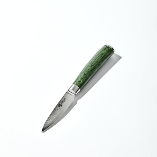 HexClad Paring Knife, 9 cm Japanese Damascus Stainless Steel Blade, Full Tang Construction, Pakkawood Handle
