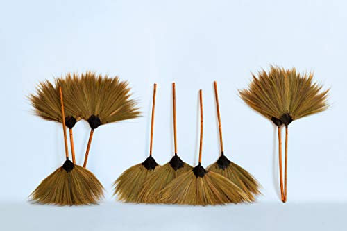 Balai Nature Lounge - En fibres de palmier véritables - 75 x 50 cm manche compris - Fait main 75 x 50 cm 1 Stk. naturel