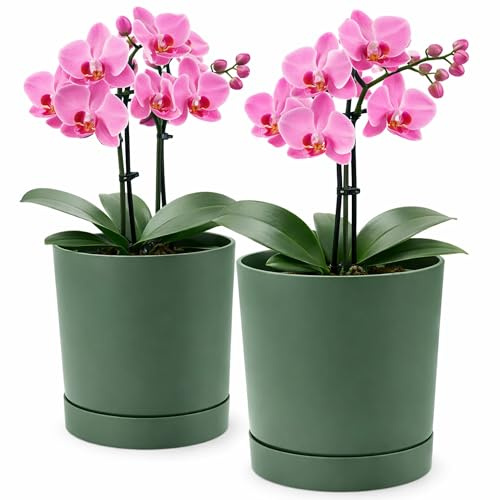 PECZEKO Blomkruka matta, planteringskruka av ytterkruka plast dekorativ kruka för, stora och små växter, set om 2 blomkrukor, blomkruka örtkruka (2-pack) grön, ø 24 cm