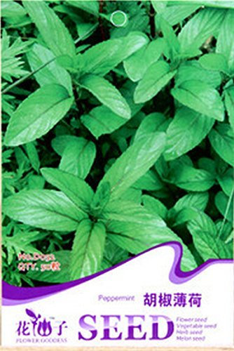 50 semi/bag Mentha piperita semi arvensis selvatiche Menta Acqua Menta semi di vaniglia imballaggio Originale