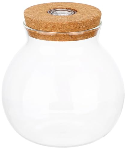 Abaodam Bocal de Propagation en Verre, Terrarium Rond avec Joint en Liège, Affichage Clair pour Plantes et Fleurs, Décoration Élégante pour Anniversaires