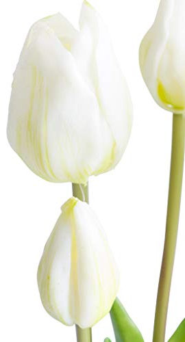Nova-Nature künstliches Tulpenbündel mit 4 Tulpen und 3 Tulpenknospen real Touch (Creme-weiß)