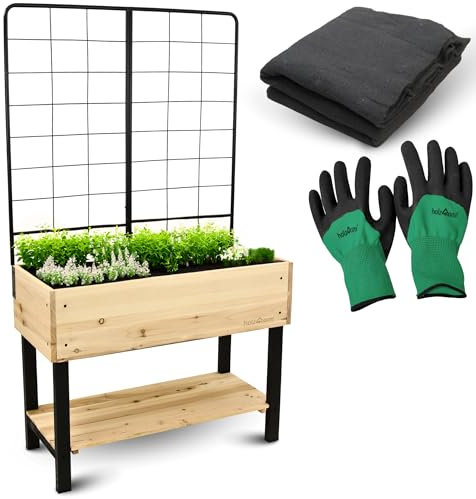 holz4home® Hochbeet mit Rankgitter aus Metall I Pflanzkasten mit Spalier inkl. Einlegevlies & Gartenhandschuhe I Modernes Design I Blumenkasten Pflanzkübel Sichtschutz Balkonkasten Blumenbeet