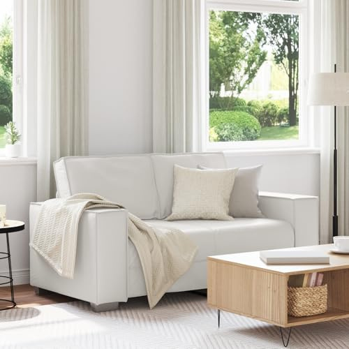 vidaXL Sofá de Dos plazas 160 cm Cuero sintético, Sofá Moderno para la Sala de Estar, Sofá Rectangular cómodo, Sofá de Cuero sintético Duradero, Lounge ergonómico, Muebles urbanos con Estilo
