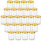 gouveo 24er Set Einmachgläser 100 ml rund mit Schraubdeckel goldfarben - Kleine Vorratsgläser mit Schraubverschluß - Schraubgläser zum Einkochen und Aufbewahren (EGR100G)
