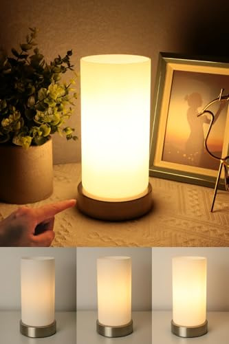 HSLighting Bedside Lamps Touch Control Night Light with Silver Metal Base White Glass Shade 3-Level Dimmable Desk Lamp Minimalist Table Lamp for Bedroom Living Room Children's Room Decor